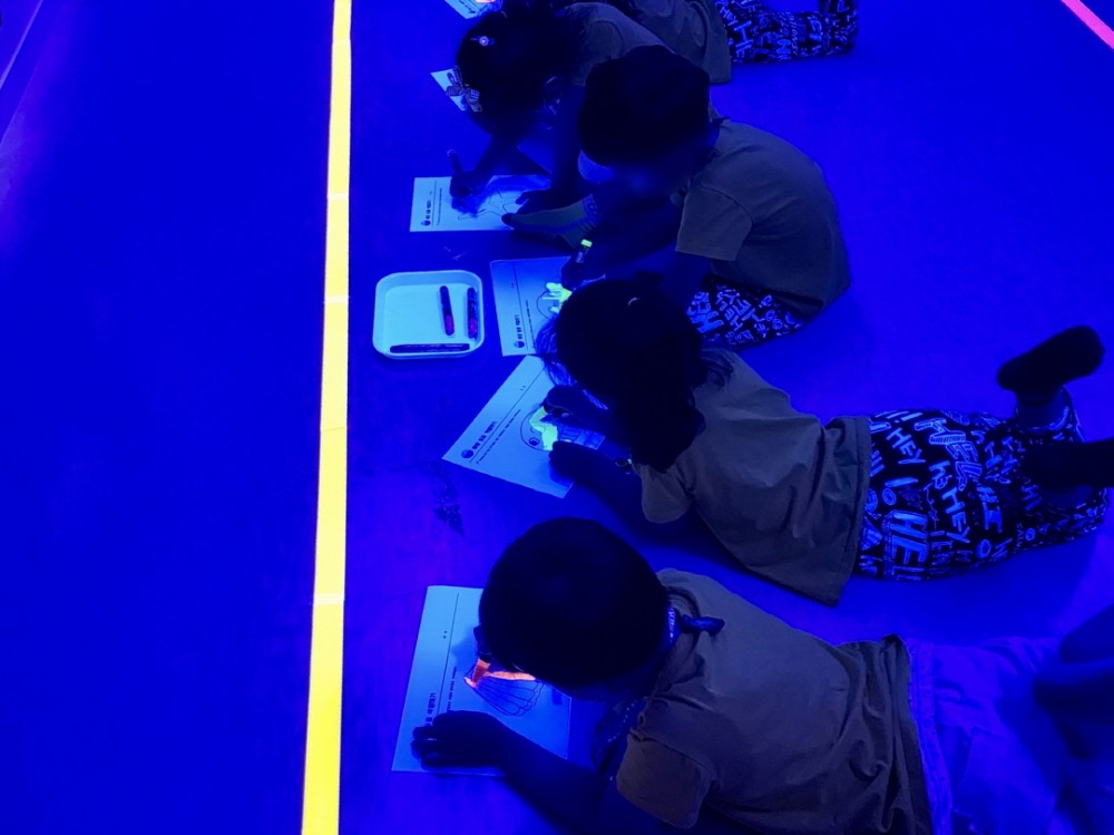 a1f5581420dfdd72bcb4b321312a3ada_1751185071_5017.jpg