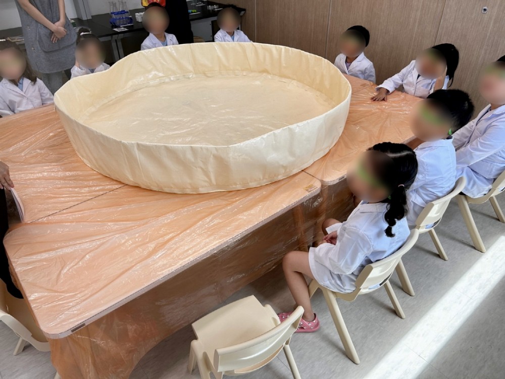 a1f5581420dfdd72bcb4b321312a3ada_1751185288_2661.jpg